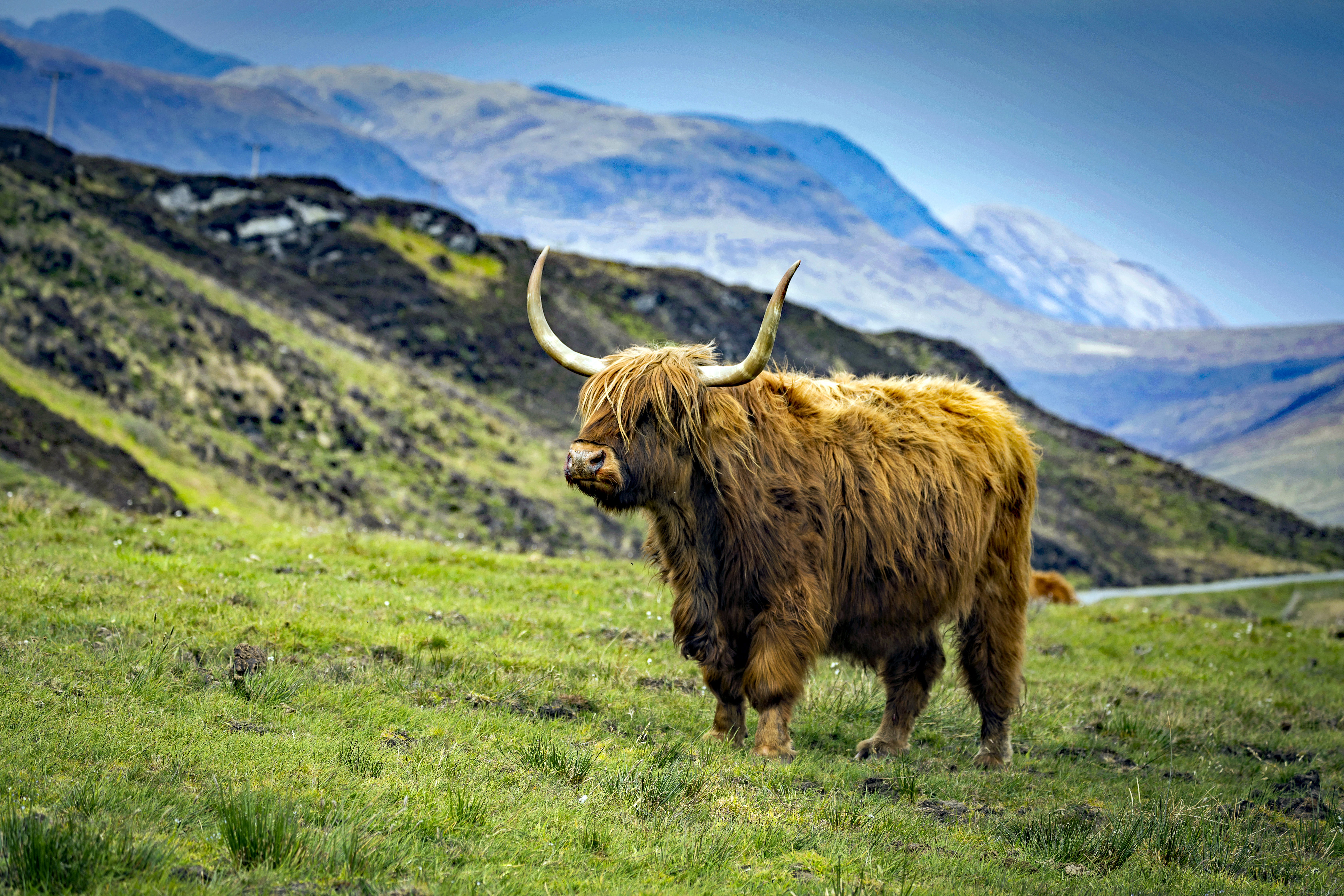 Glens, Coos & Isles