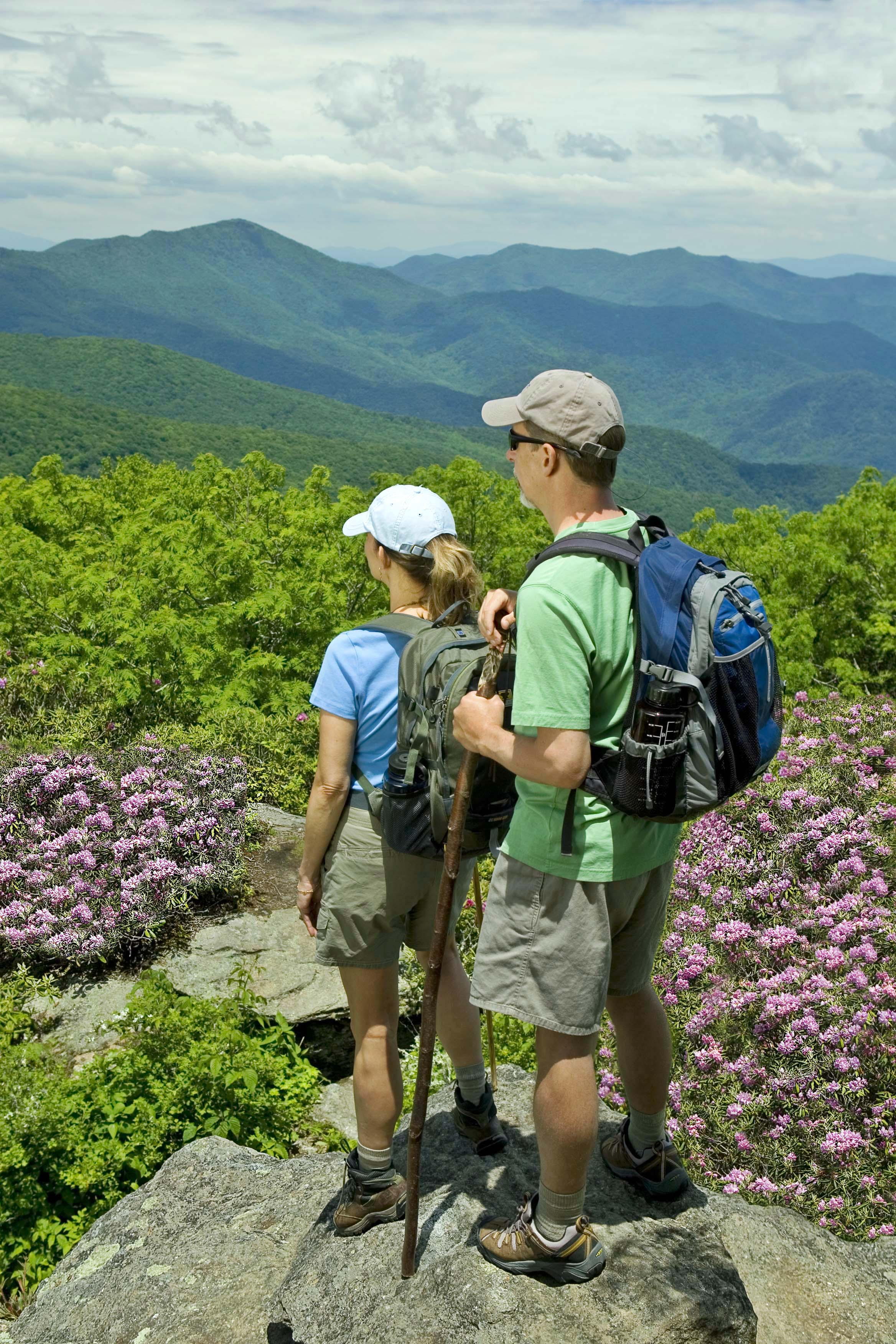 Blue Ridge Tour scenery