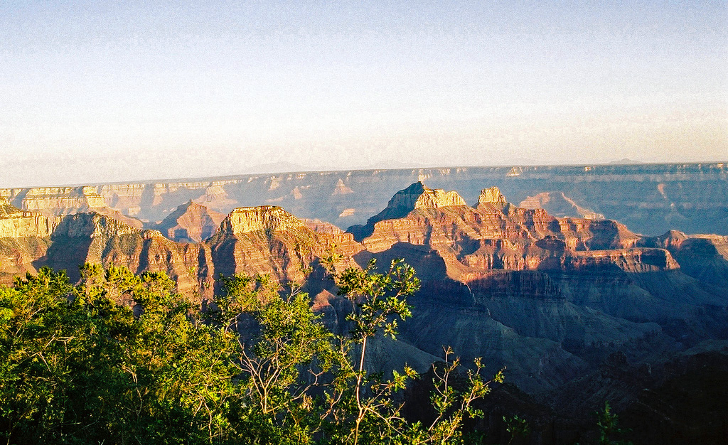 Northern Arizona