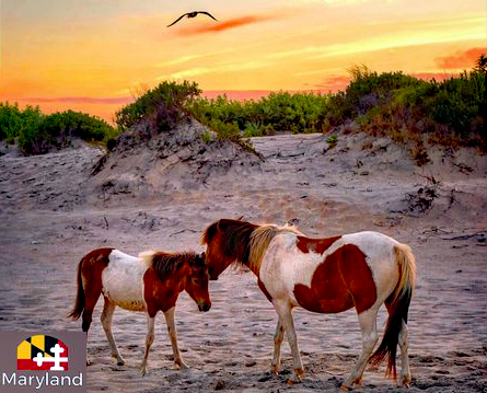 Ocean City Golf Tour scenery