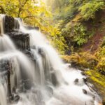93116-birks-of-aberfeldy-medium