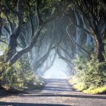 32300_Game of Thrones_ - The Dark Hedges_The Kingsroad